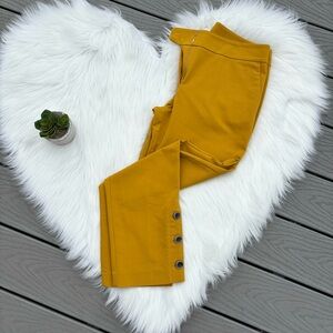Ann Taylor Marigold Dress Pants